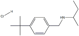 (butan-2-yl)[(4-tert-butylphenyl)methyl]amine hydrochloride 结构式