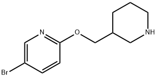 5-溴-2-(哌啶-3-基甲氧基)吡啶 结构式