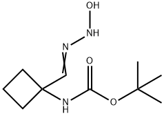叔丁基N-[1-(N-羟基氨基甲酰亚胺酰基)环丁基]氨基甲酸酯 结构式