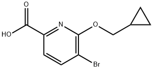 5-Bromo-6-cyclopropylmethoxy-pyridine-2-carboxylic acid 结构式