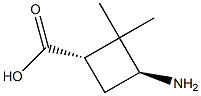 (1S,3S)-3-氨基-2,2-二甲基环丁烷-1-羧酸 结构式