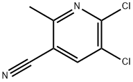 5,6-二氯-2-甲基烟腈 结构式