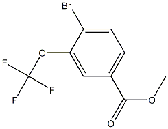 4-溴-3-(三氟甲氧基)苯甲酸甲酯 结构式