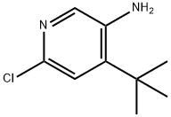 4-(tert-butyl)-6-chloropyridin-3-amine 结构式