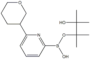 6-(Tetrahydropyran-3-yl)pyridine-2-boronic acid pinacol ester 结构式
