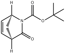 (1R,4S)-3-氧代-2-氮杂双环[2.2.1]庚-5-烯-2-羧酸叔丁酯 结构式