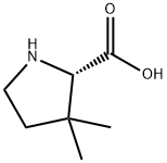 3,3-二甲基吡咯烷-2-羧酸 结构式