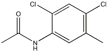 Acetamide,N-(2,4-dichloro-5-methylphenyl)- 结构式