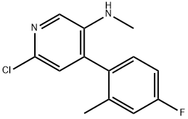 6-CHLORO-4-(4-FLUORO-2-METHYLPHEN YL)-N-METHYLPYRIDIN-3-AMINE 结构式