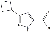 3-cyclobutyl-1H-pyrazole-5-carboxylic acid 结构式