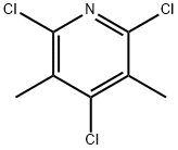 3,5-二甲基2,4,6-三氯吡啶 结构式