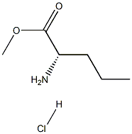 methyl norvalinate hydrochloride 结构式