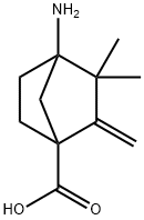 4-Amino-3,3-dimethyl-2-methylene-bicyclo[2.2.1]heptane-1-carboxylic acid 结构式