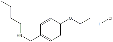 butyl[(4-ethoxyphenyl)methyl]amine hydrochloride 结构式