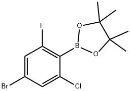 2-(4-溴-2-氯-6-氟苯基)-4,4,5,5-四甲基-1,3,2-二氧硼烷 结构式