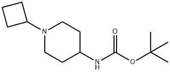 (1-环丁基哌啶-4-基)氨基甲酸叔丁酯 结构式