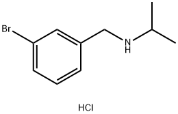 [(3-bromophenyl)methyl](propan-2-yl)amine hydrochloride 结构式