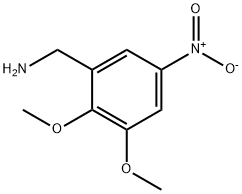 (2,3-dimethoxy-5-nitrophenyl)methanamine 结构式