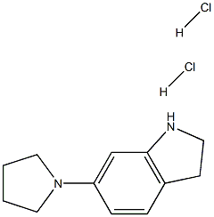 6-(pyrrolidin-1-yl)-2,3-dihydro-1H-indole dihydrochloride 结构式