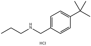 [(4-tert-butylphenyl)methyl](propyl)amine hydrochloride 结构式