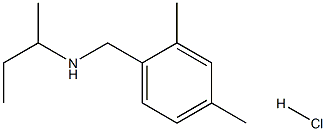 (butan-2-yl)[(2,4-dimethylphenyl)methyl]amine hydrochloride 结构式