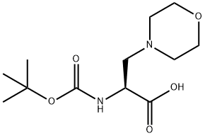 (S)-2-((TERT-BUTOXYCARBONYL)AMINO)-3-MORPHOLINOPROPANOICACID 结构式