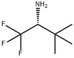 (R)-1,1,1-三氟-3,3-二甲基丁烷-2-胺 结构式