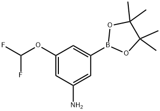 3-(二氟甲氧基)-5-(4,4,5,5-四甲基-1,3,2-二氧苯并呋喃-2-基)苯胺 结构式