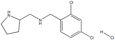 N-(2,4-DICHLOROBENZYL)-1-(PYRROLIDIN-2-YL)METHANAMINE HYDROCHLORIDE 结构式