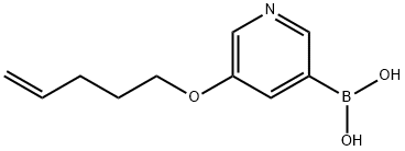 (5-(Pent-4-en-1-yloxy)pyridin-3-yl)boronic acid 结构式