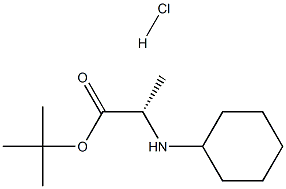 RS-环己基丙氨酸叔丁酯盐酸盐 结构式
