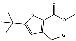 METHYL 3-(BROMOMETHYL)-5-(TERT-BUTYL)THIOPHENE-2-CARBOXYLATE 结构式