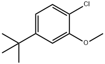 4-tert-Butyl-1-chloro-2-methoxy-benzene 结构式