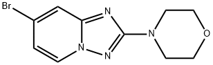 4-(7-BROMO-[1,2,4]TRIAZOLO[1,5-A]PYRIDIN-2-YL)MORPHOLINE 结构式