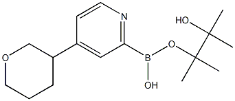 4-(Tetrahydropyran-3-yl)pyridine-2-boronic acid pinacol ester 结构式