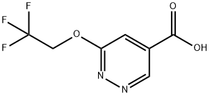 6-(2,2,2-Trifluoro-ethoxy)-pyridazine-4-carboxylic acid