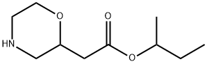 sec-butyl 2-(morpholin-2-yl)acetate 结构式