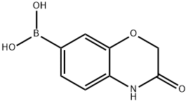 3-Oxo-4H-benzo[1,4]oxazine-7-boronic acid 结构式