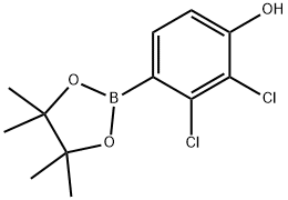 2,3-dichloro-4-(4,4,5,5-tetramethyl-1,3,2-dioxaborolan-2-yl)phenol 结构式