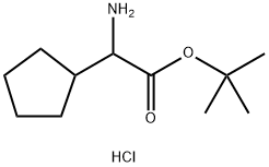 RS-环戊基甘氨酸叔丁酯盐酸盐 结构式