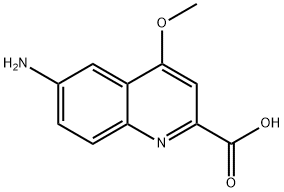 6-Amino-4-methoxy-quinoline-2-carboxylic acid 结构式
