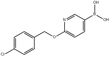(6-((4-chlorobenzyl)oxy)pyridin-3-yl)boronic acid 结构式