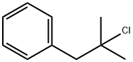 (2-chloro-2-methylpropyl)benzene 结构式