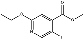 2-乙氧基-5-氟异烟酸甲酯 结构式