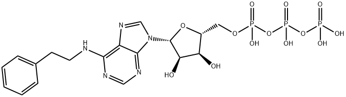Adenosine 5'-(tetrahydrogen triphosphate), N-(2-phenylethyl)- 结构式