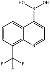 8-(三氟甲基)喹啉-4-硼酸 结构式