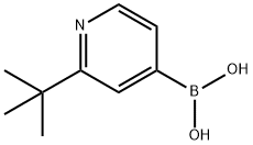 (2-(tert-butyl)pyridin-4-yl)boronic acid 结构式