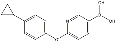 (6-(4-cyclopropylphenoxy)pyridin-3-yl)boronic acid 结构式