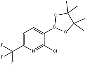 2-氯-3-(4,4,5,5-四甲基-1,3,2-二氧杂硼烷-2-基)-6-(三氟甲基)吡啶 结构式