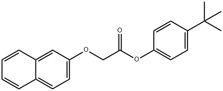 4-tert-butylphenyl (2-naphthyloxy)acetate 结构式